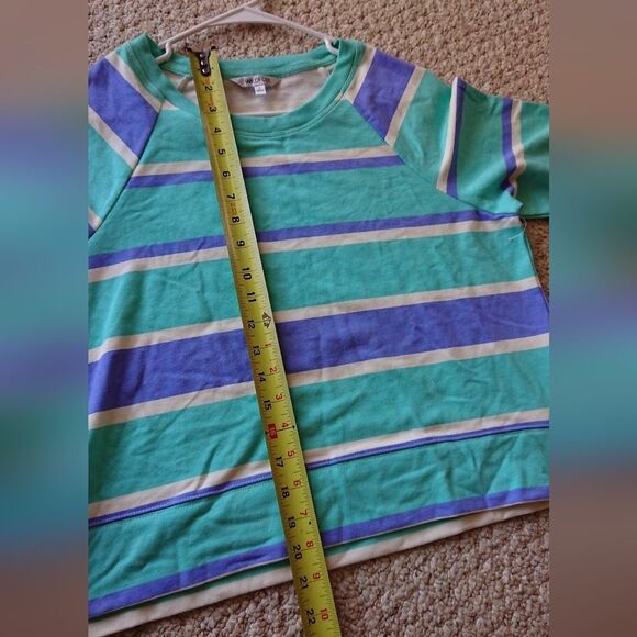 WILDFOX Blue Stripe Sweatshirt size S - Picture 8 of 12